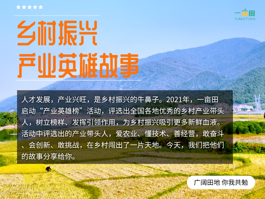 从亏10万到单笔交易额80万！何军利如何用黄花菜开启人生逆袭之路