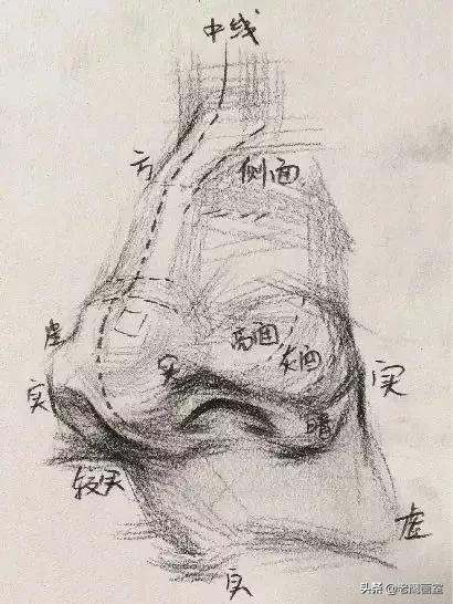 眼睛、嘴巴、鼻子和耳朵基础干货，一看就懂