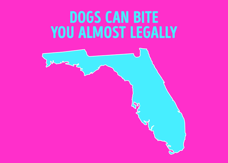 在美国的某些地方，这12件事都被禁止