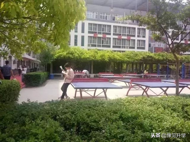 原来惠济区和管城区藏着这么多好学校！