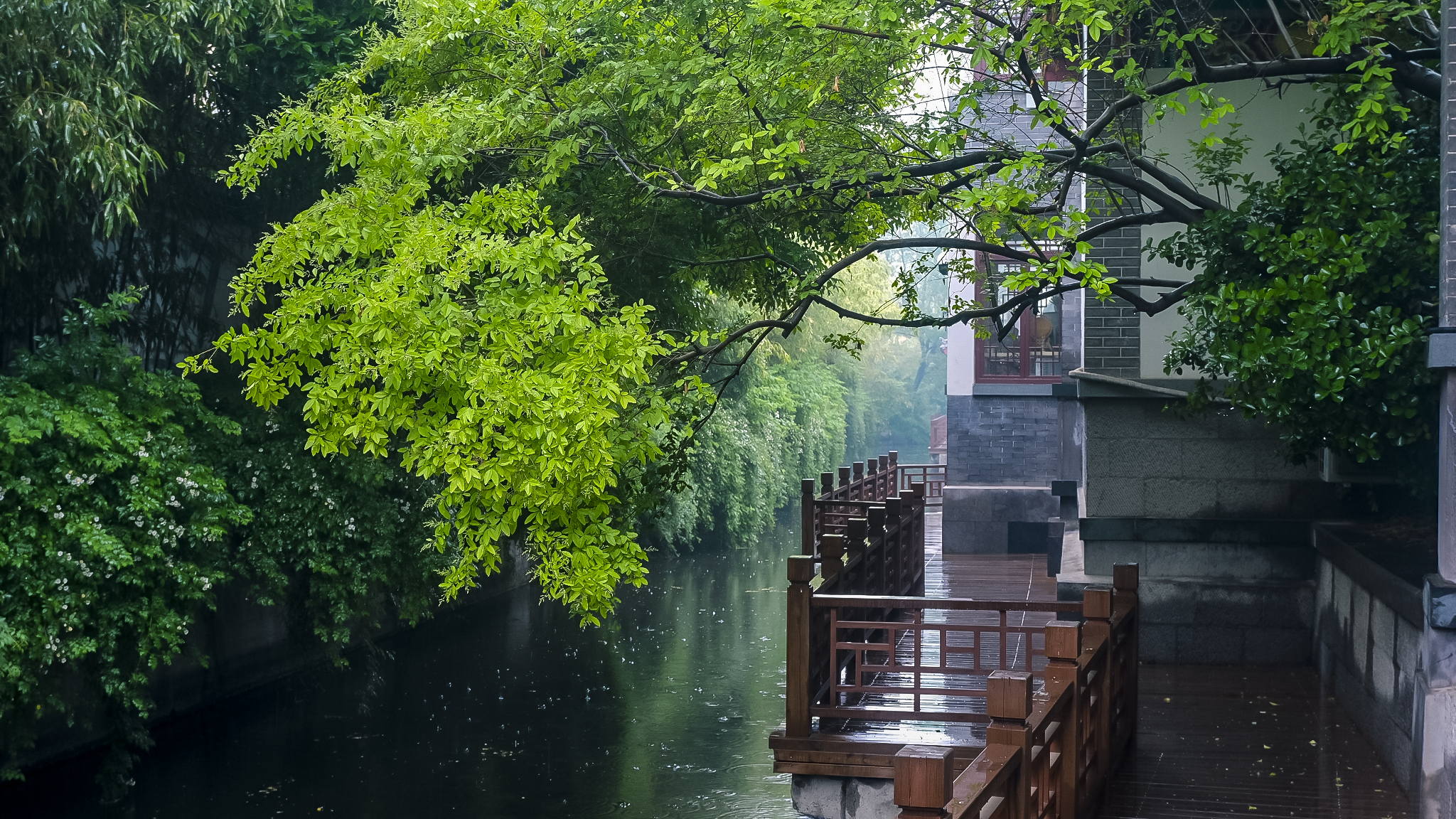 顾炎武旅居济南的日子，在泉水漫过的青石板路上留下了许多足迹