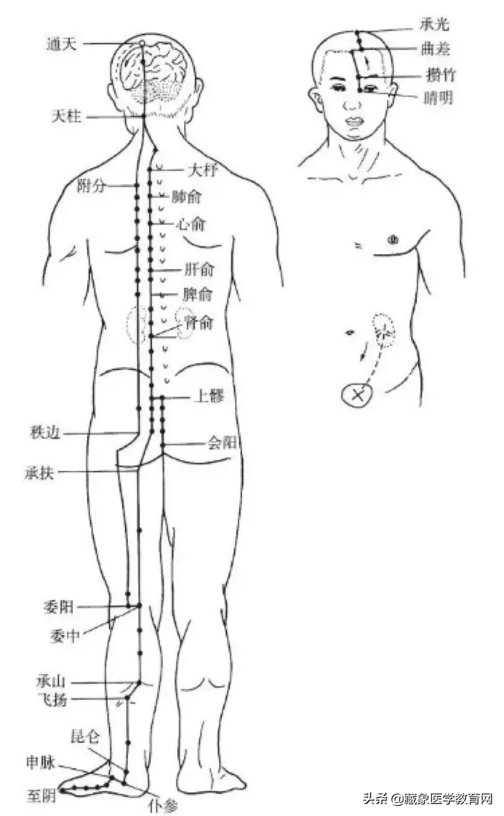 你了解经脉吗？十二经脉的位置、走向规律、交接规律及分布规律