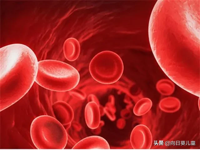 造血干细胞移植：造血 “小战士”的“招募计划”