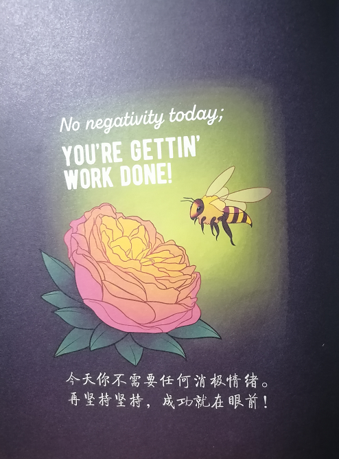 生活总有不如意，不妨做只柔软的刺猬，只吸引值得的人和事