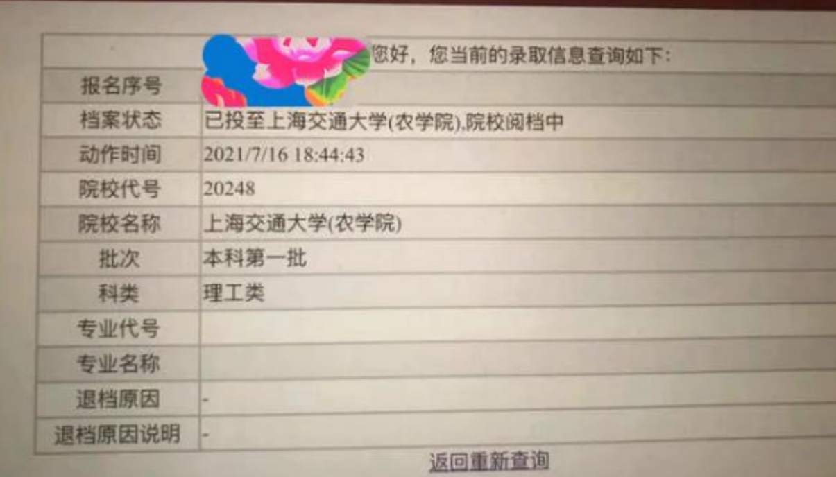 556分也能被上海交大录取？中等生填报志愿，掌握技巧很重要