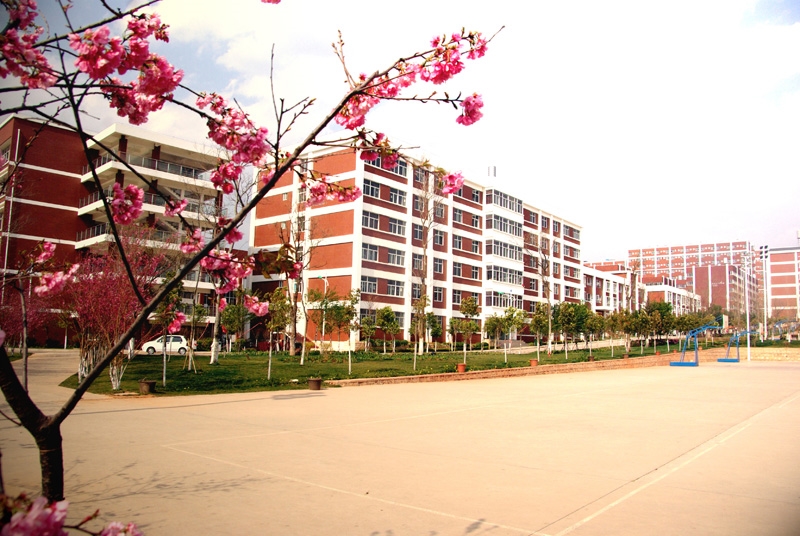 云南艺术学院2021年艺术类省外录取成绩公布，你被录取了吗？