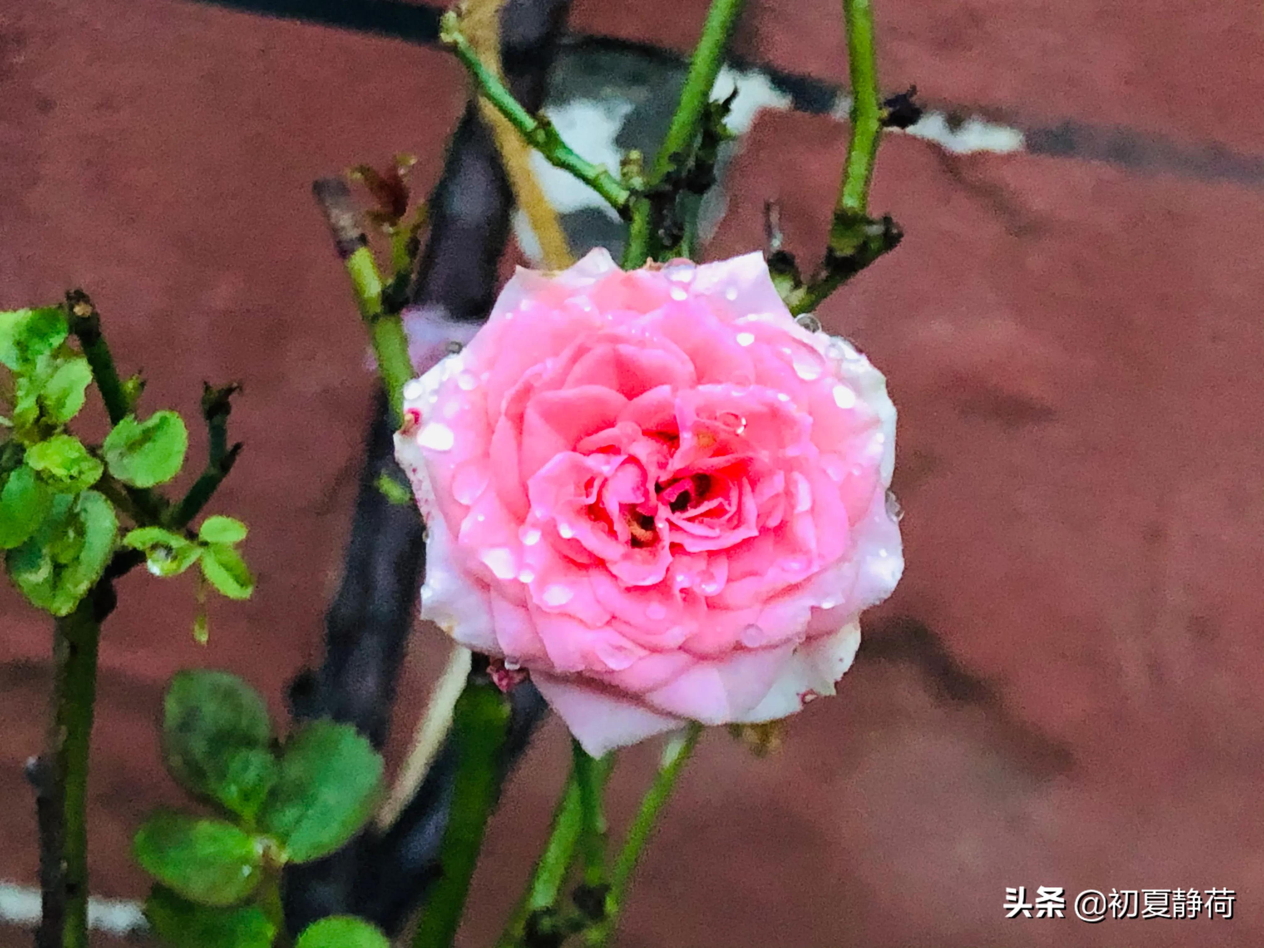 秋雨织暮色，寒声敲窗棂。空阶落桐叶，凉露湿青灯。独坐怀故人，长河渐微澄。归舟何处客？烟水两冥冥。