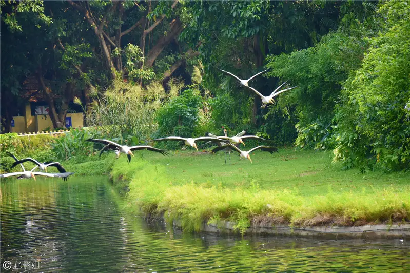 长隆欢乐世界旅游攻略景点必去（三天三夜欢乐长隆之旅）