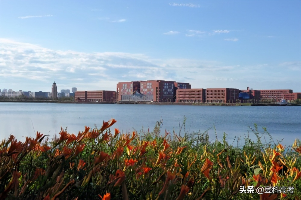 计算机专业10所双非强校，未来的“多金IT男”考生收藏