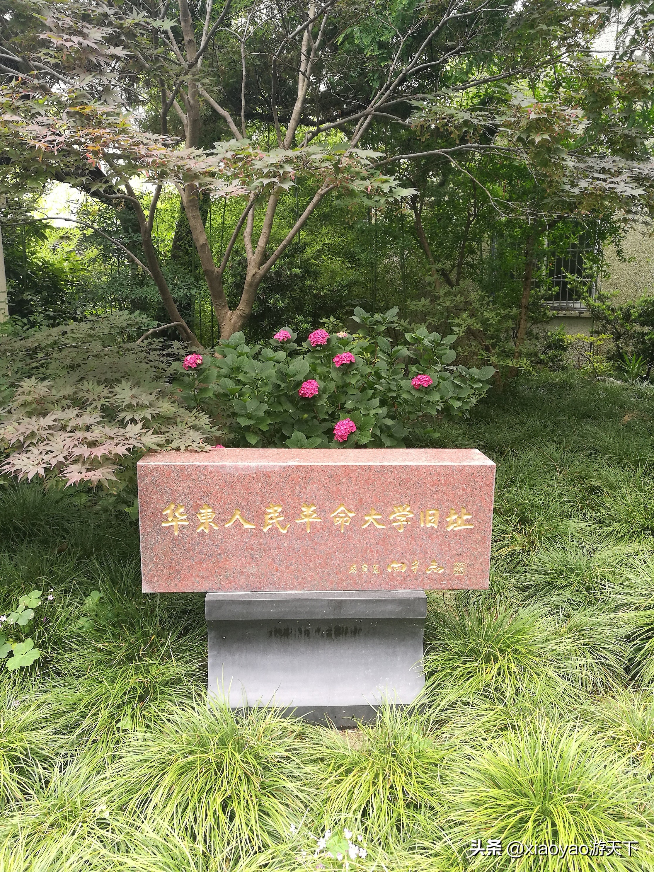 最美大学之旅——复旦大学