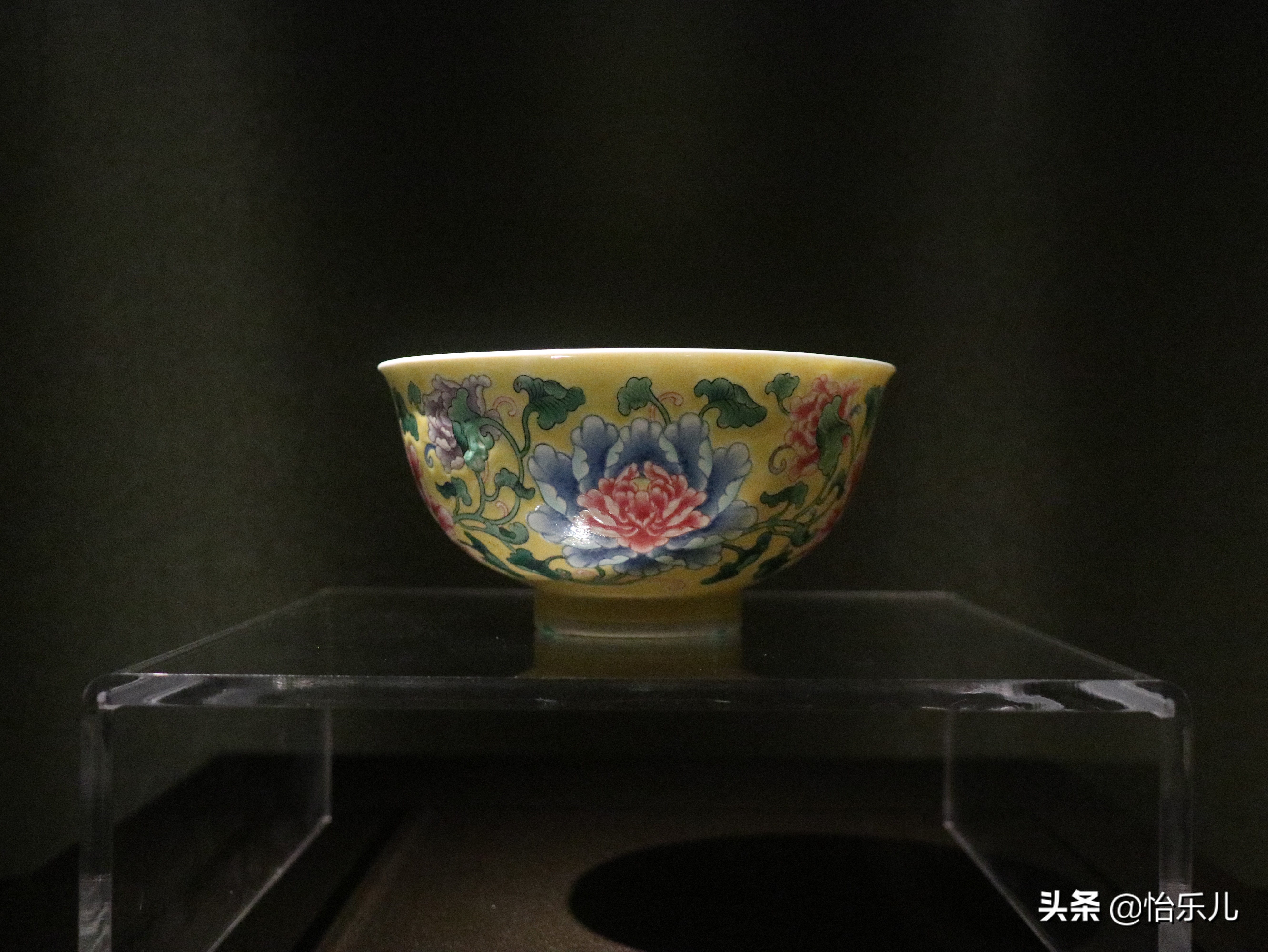 结婚证上印的这朵花不简单，被雍正称为“人间第一花”