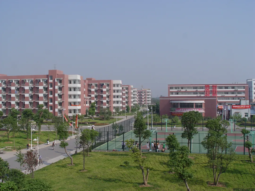 金职，生日快乐