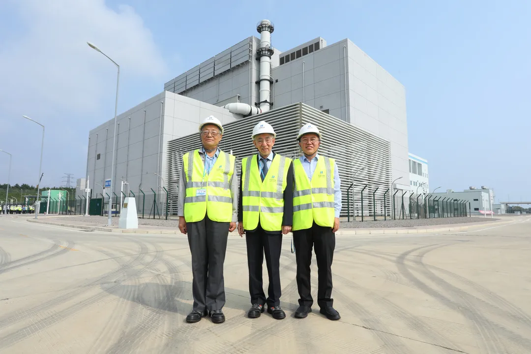 王大中：为国释放一个核能研究者的最大能量