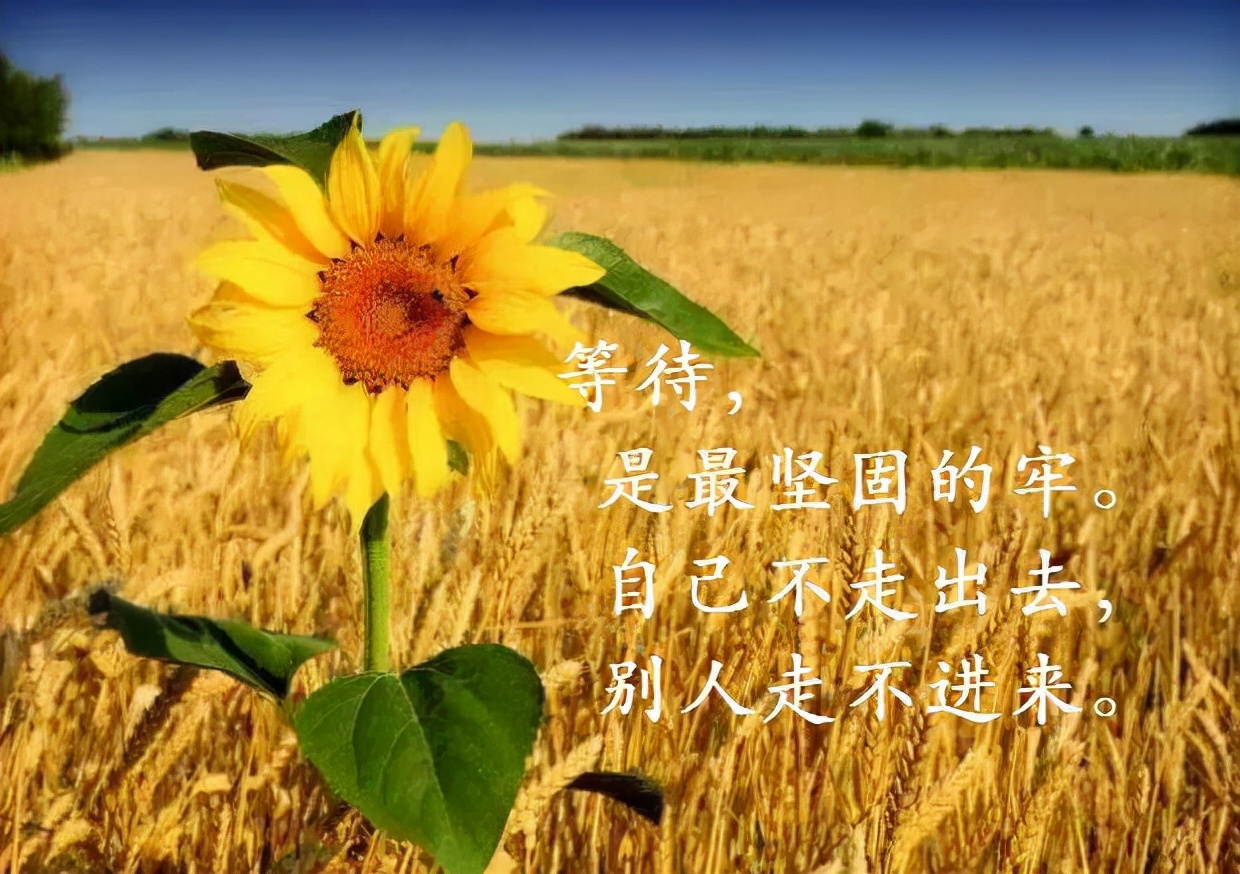 2017经典人生哲理语录：悟透生活，方得从容。