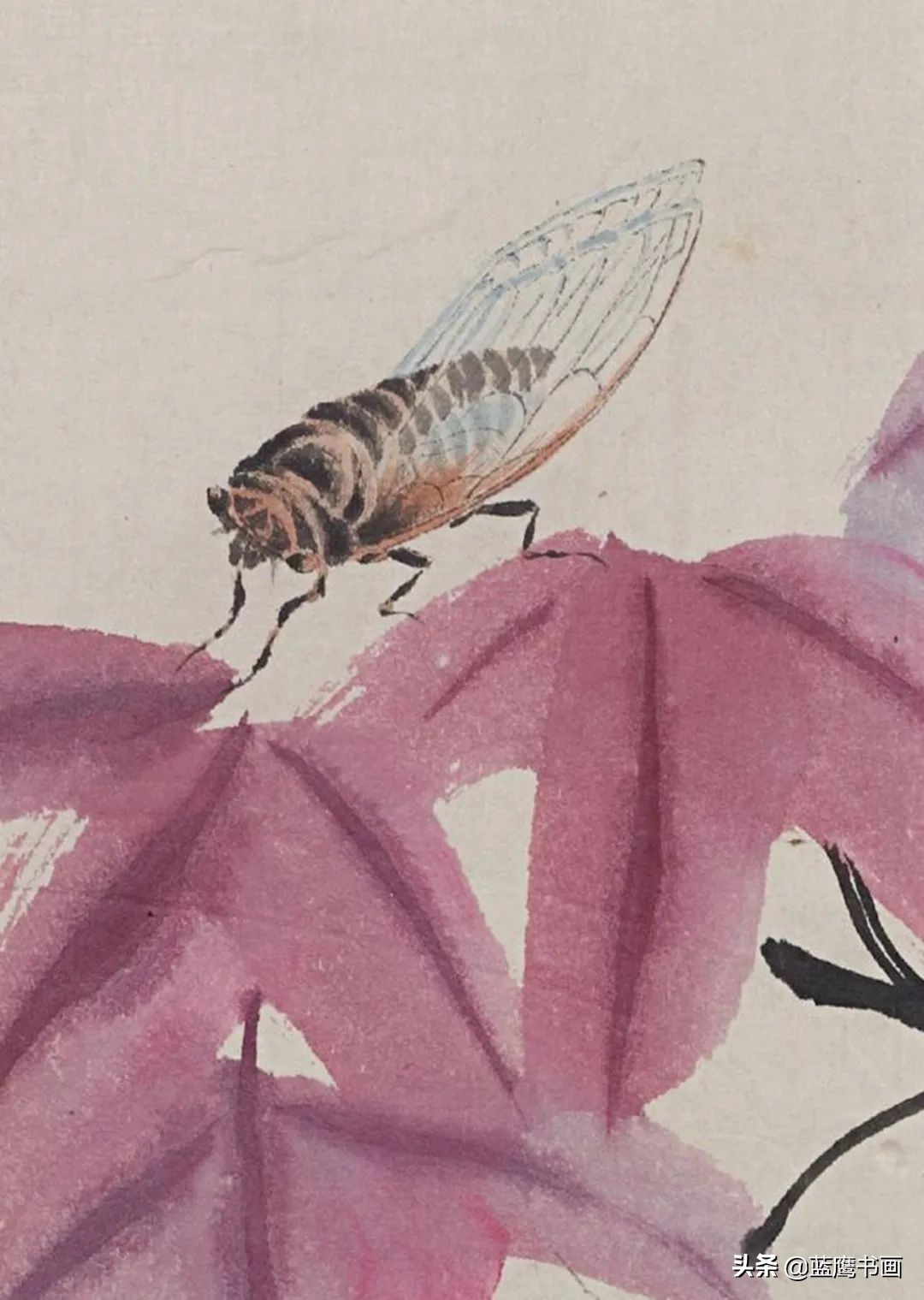 齐白石善于用墨，更善于用色，从而创造了独树一帜的新画风