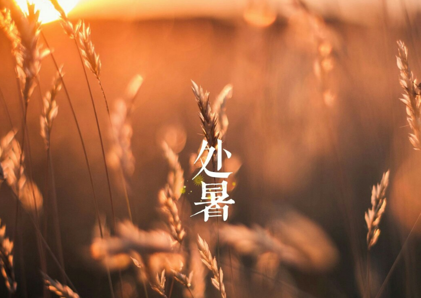 暴雨如注，狂风撕扯天地，泥浆翻涌，道路成河，行人寸步难行，天地间唯有肆虐的恶雨。