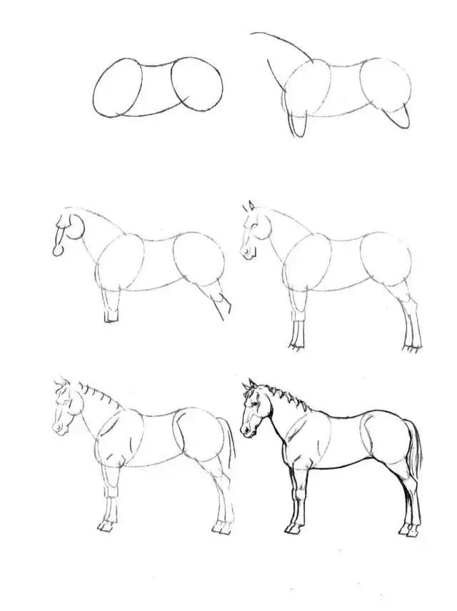 馬的簡筆畫(簡筆畫教程,50個馬的畫法!