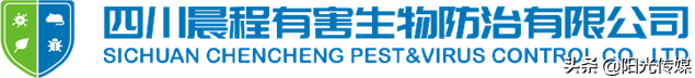 面对白蚁，我们该如何有效防治？8月6日上午10点关注《有车有房》！