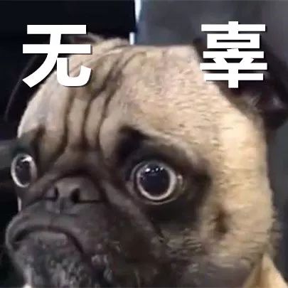 骂别人「双标狗」，算不算道德绑架？