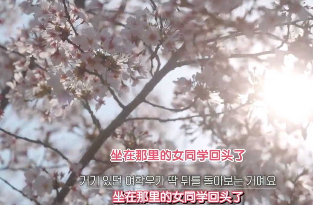 韩国缺德综艺！4对分手情侣同住交换恋人，网友：尴尬又刺激