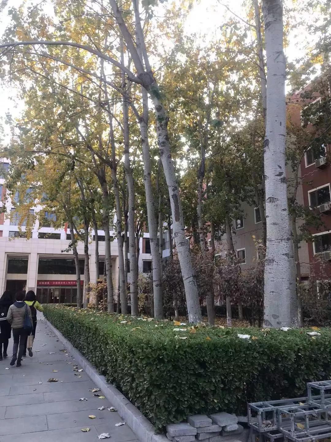 中国美术学院分数线2017（近五年）