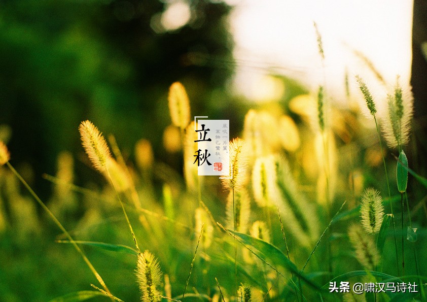 几缕荷香浮夏末，一檐风雨动秋声--啸汉马诗社社课雅集第十五辑