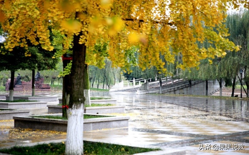 2021高考四川高校解读之成都中医药大学篇（附前几年录取分数线）