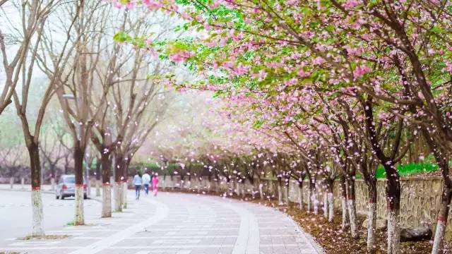 也许，这是全陕西“最特殊”的一张身份证了吧