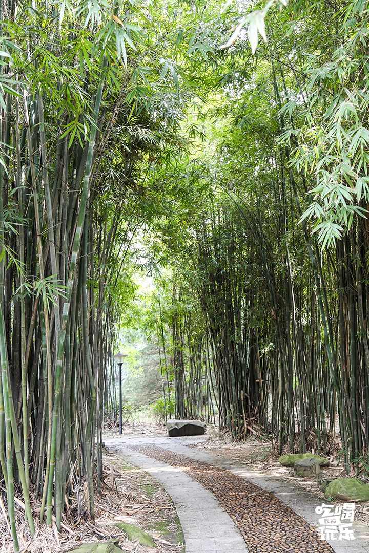 下一站，长沙大学