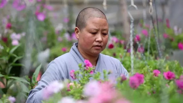 中国最文艺尼姑庵，不烧香只种花，美得想出家！韩红也慕名来参访