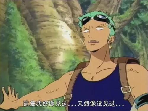 海贼王中那些让人捧腹的梗！两个与四皇相关，6个出自草帽团