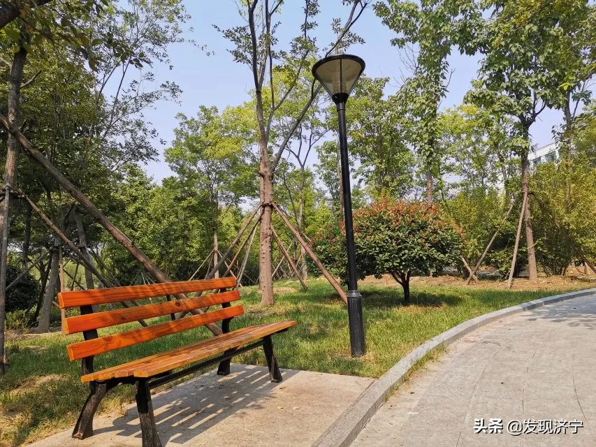 济医毕业季｜|那张不舍删掉的照片