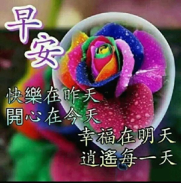 早上给情人问候早安语(问候情人早安温馨语)-情感知识库-动动脑