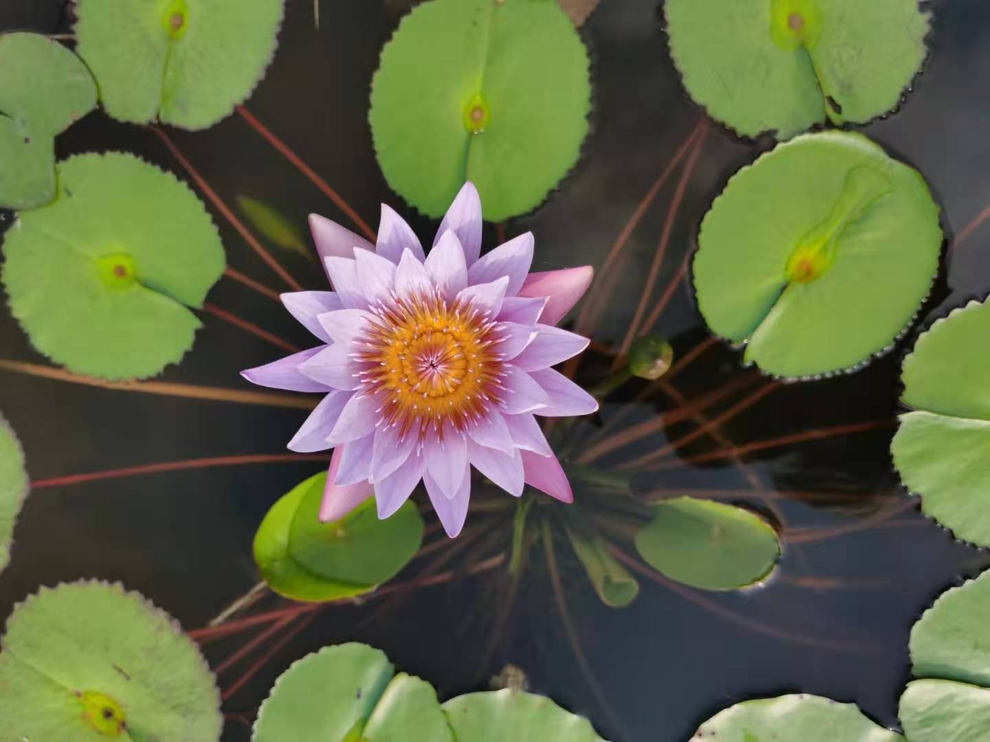 高管未经公司同意擅自提高工资是否属于损害公司利益？