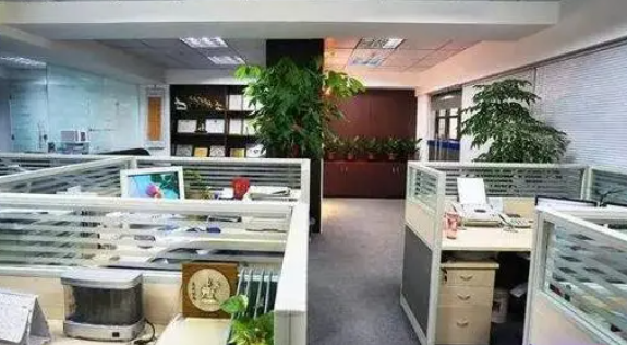 适合女生的几大专业，不仅稳定待遇好，越久越受欢迎