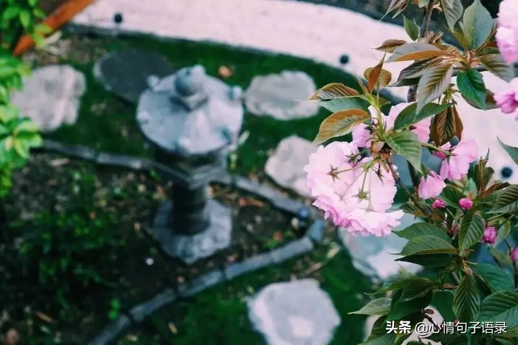 苍天不负人,苦尽甘自来