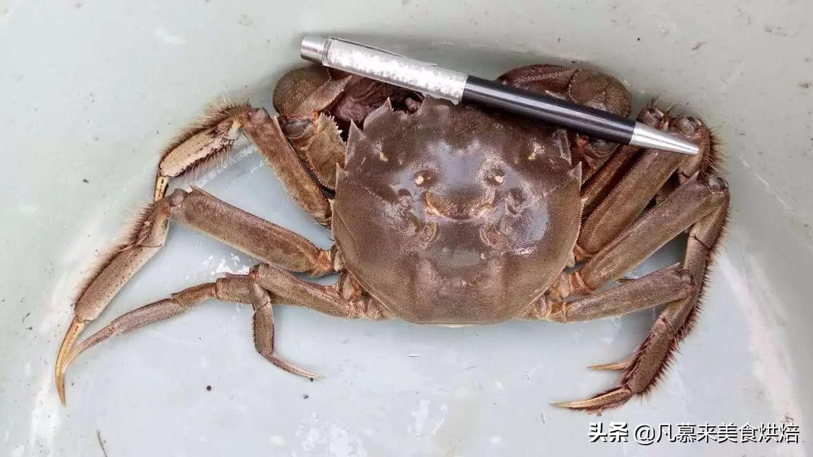 适合送礼的唐山特产（河北唐山有什么特产送人）