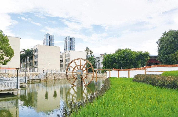 恭喜！广西迎来8所“新大学”，其中4所都是公办，本地考生有福了