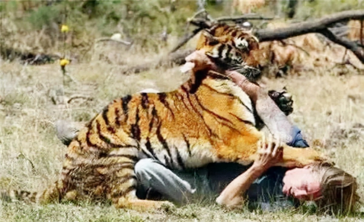 “老虎咬死游客事件”幸存者：至今没有工作，最大心愿是整容