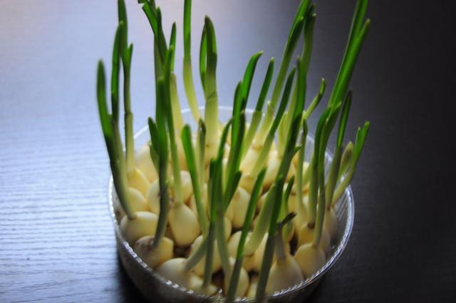 观察日记这样写，资深老师拿学生的好句举例，让学生的作文更精彩