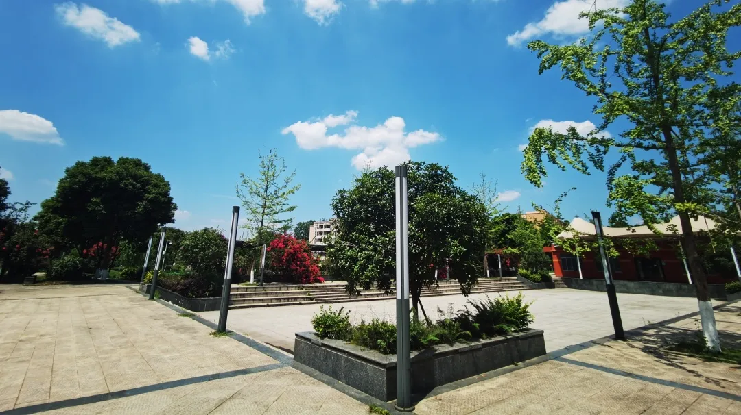 速来围观！三原外国语学校中学部&小学部2021年招生简章新鲜出炉