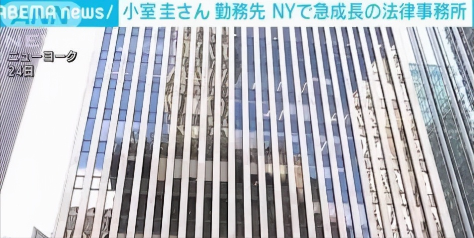 日本公主大婚，驸马成纽约年薪百万新富帅，婚后定居美国会幸福吗
