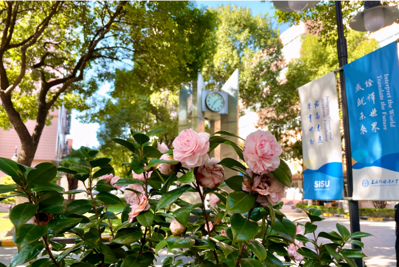 坐拥全国第一、中国首个！上海这所高校还走出央视记者、外交官等名人！