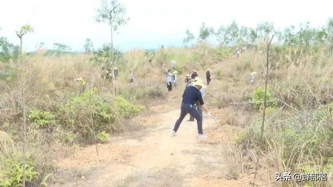 土地新规正在落实，部分地方已出征地补偿标准，2种情况不予赔偿