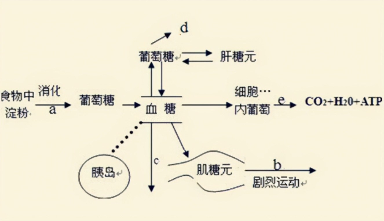 糖尿病喝无糖饮品，会影响血糖吗？怎么判断是否真“无糖”