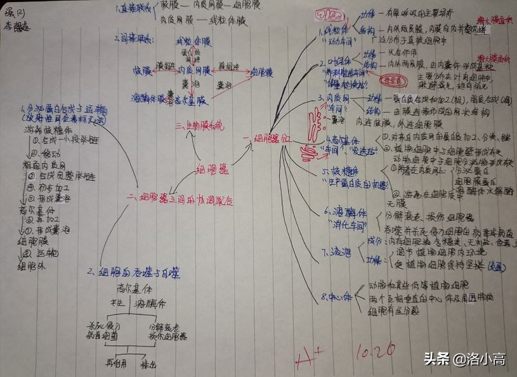 洛一高强基2班周记（9）
