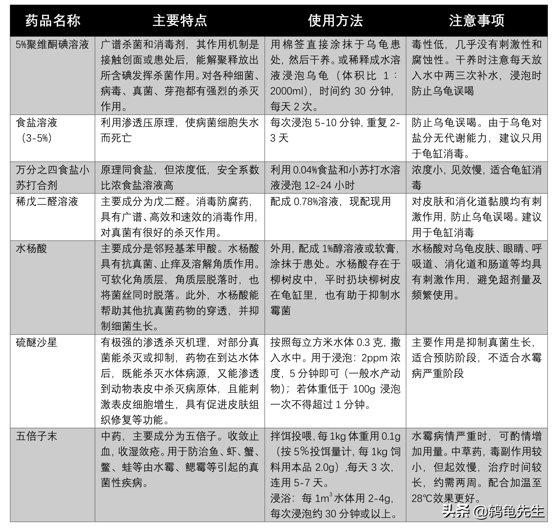 乌龟得了水霉病怎么办？鸫龟先生详解乌龟水霉病的预防与治疗方法