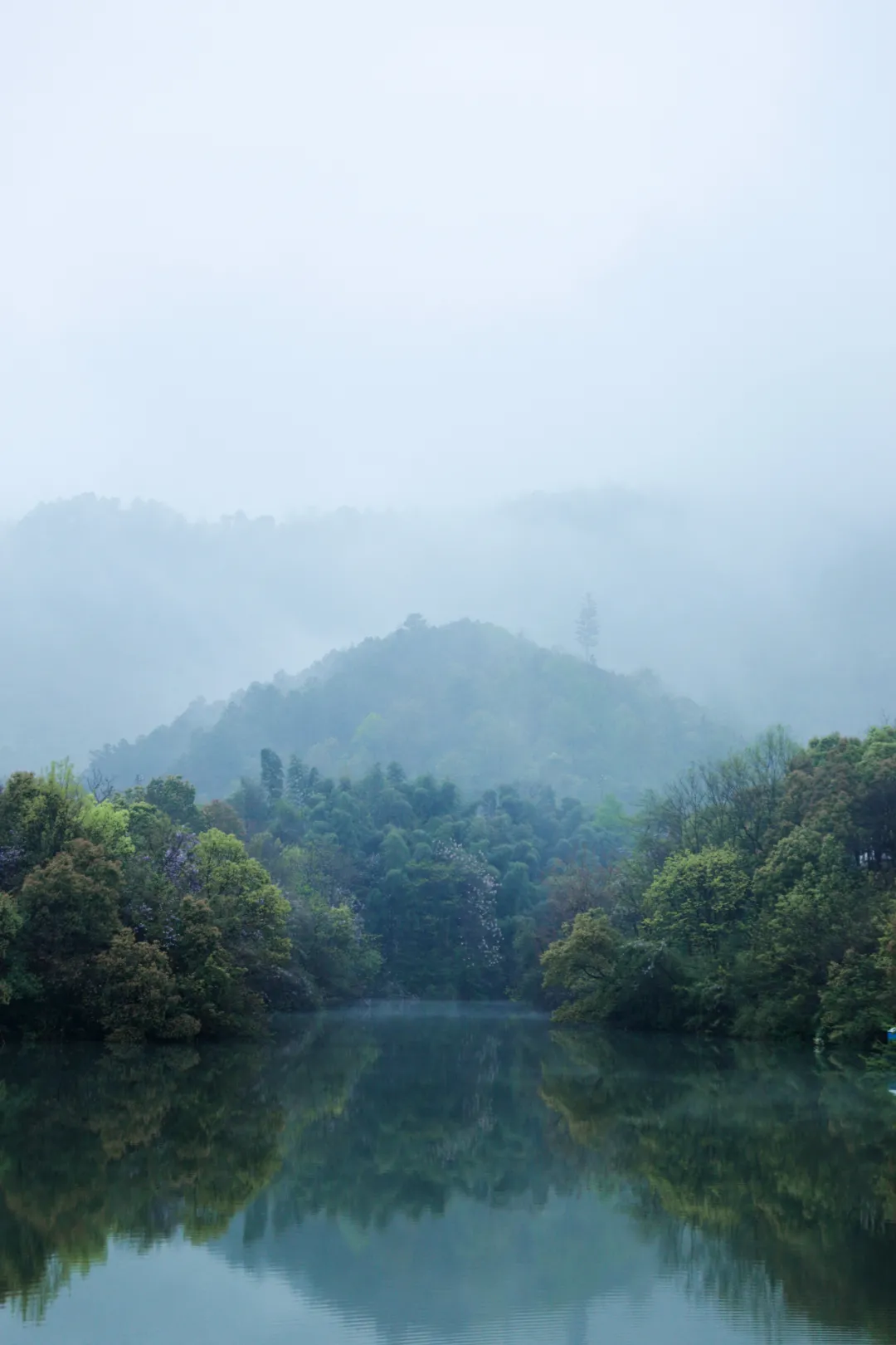 敬亭烟雨，「雨后美景」藏不住......