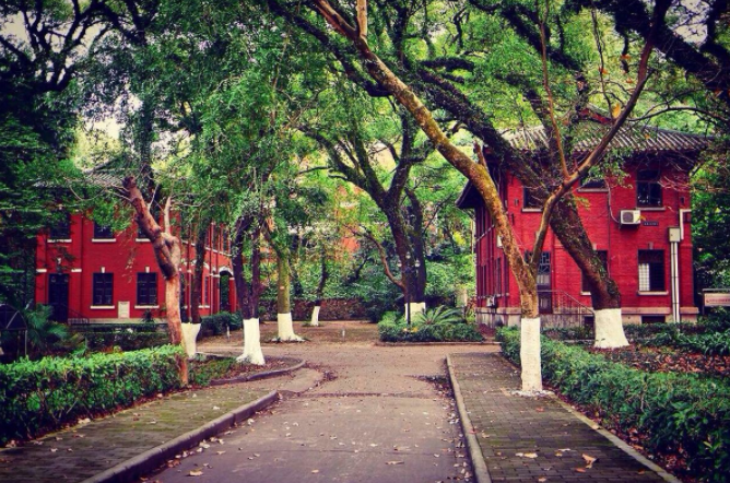 508分被中山大学录取，险中取胜，网友：难道你有主角光环？