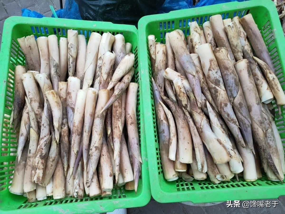 第四对:春笋和夏笋